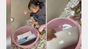 “PC에 쓰레기 많네” 아빠 말에…세제로 노트북 씻은 두살배기 폭소