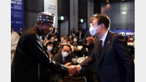 한-나이지리아 정상회담…尹대통령 “양국 교류 협력에 적극 노력”