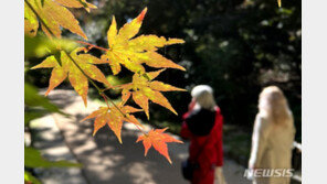 [날씨]내일 서울 낮 기온 19도…가을 추위 누그러져 포근