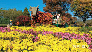 야생화공원 찾은 시민들