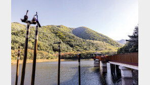 금호강부터 수성못까지… 가을 정취 느끼며 산책길 걸어볼까