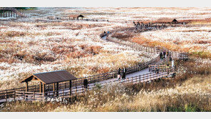 천천히 걸어야 보인다, 대구의 어제와 오늘을 머금은 ‘길’