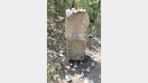 [고양이 눈]거인의 발