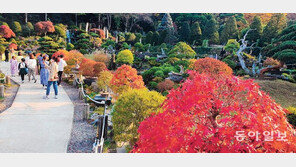 세종시 베어트리파크 단풍축제
