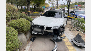 인도 돌진 뒤 외제차 버리고 도주한 운전자…‘졸음운전’ 무게, 왜?