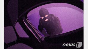 ‘문 열린 차만 골라’…780만원 훔친 상습털이범 구속