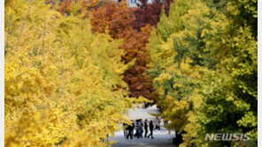 이번 주말 푸근, 나들이 좋은 날…다음주 후반부터 추워져