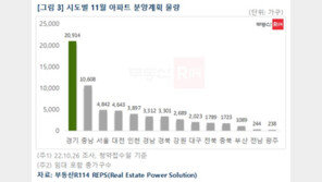 11월 전국 아파트 6만1312가구 분양…전년 대비 2배 증가