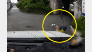 혼자 넘어졌는데… 맞은편 차량 고소한 자전거 운전자 (영상)