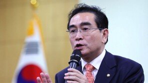 與, 국회 외교통일위원회 간사에 태영호 의원 내정