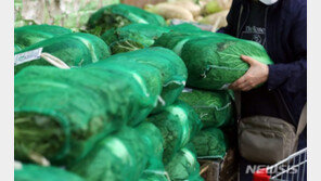 정부, 김장철 비용 부담 확 낮춘다…비축물량 풀고 할인 판매 추진