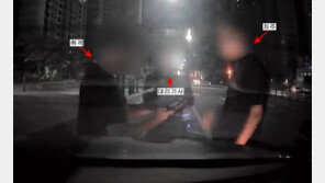 정차한 남의 차 올라탄 대리기사·취객…“셋 다 억울” 차주 웃어넘긴 이유