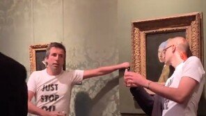 ‘진주 귀걸이를 한 소녀’마저도…기후활동가에 명화 잇단 수난