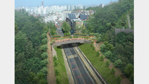 동작구, 도로로 끊긴 국사봉 숲 이을 ‘녹지연결로’ 만든다