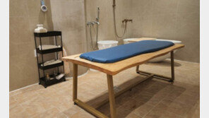 목욕에 1N만원 쓰는 이유 [바이브랜드]