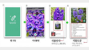 [농업이 IT(잇)다] 에이아이프로 “휴대폰 카메라 활용해 가을꽃 정보 확인하세요”