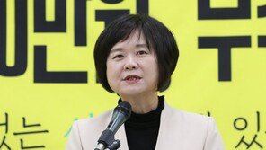 민주당 “정의당 이정미 당선 축하…국민 신뢰 회복하길”