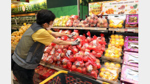 “프리미엄 제철 사과 맛보세요” 3개 품종 물량 대량으로 확보