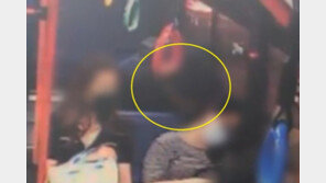 버스서 잠든 여성 목에 침 흘린 남성…성범죄 전과자였다