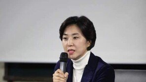 민주연구원 부원장 “이태원 참사는 靑이전 탓”…글 올렸다 삭제