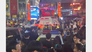 작년보다 2배 많은 인파 몰렸다…이태원역 승객 ‘13만 명’