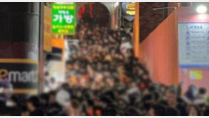 인파 예상됐는데…‘축제 안전관리 매뉴얼’  적용 안된 이유는?