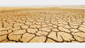 자금줄 마른 중소형 증권사들 ‘자산 구조조정’ 돌입 