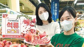 농협 하나로마트, 올해 처음 출하된 석류 판매