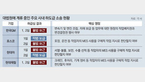 大法 “간접공정, 도급 아닌 파견”… 사내하도급 엄격 적용에 기업 동요 