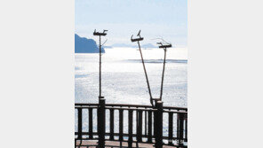 [고양이 눈]솟대가 있는 풍경