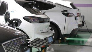 ‘2030’ 전기차에 꽂히다…전기차 패권 경쟁 본격화