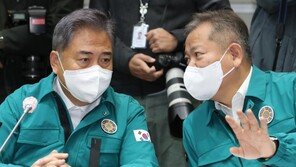 박진, ‘욱일기 관함식’ 논란에 “노무현 정부서 日자위함기 입항”