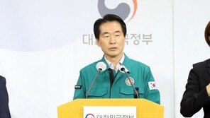 참사 벌어진 뒤에야…중대본 “주최없는 행사, 대책 검토”