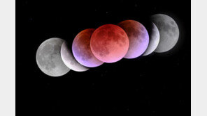 11월 8일 ‘붉은 달’ 뜬다…맨눈으로 보는 개기월식