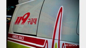 옥천 야산서 도토리 줍던 70대 여성 총상…오발사고 추정