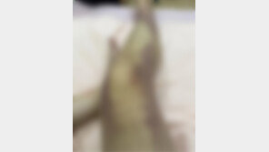 “몸에 멍들어”…이태원 참사 생존자, 조심해야 하는 이유