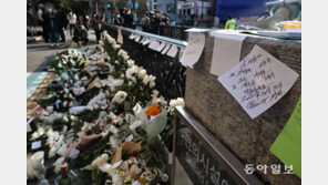 “이태원 간 게 잘못” 도 넘은 피해자 모욕글, ‘처벌 대상’ 될 수 있어