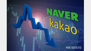 추락하던 네이버·카카오 주가 급등…왜