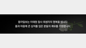 [단독]‘주최자 없는 행사에도 지자체서 안전 관리’… 서울시의회 조례 추진