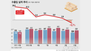 10월 무역수지 67억불 적자…25년 만에 최장 기간 적자 행진