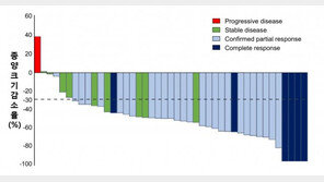 4기 HER2 양성 위암 항암제 삼중요법 치료 반응률 77%