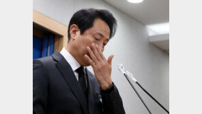 서울시 “우리 주최 아니다”더니… 오세훈 “무한 책임 느낀다”