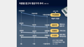 ‘새 차보다 비싼 중고차’ 이젠 옛말