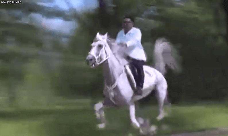 北-러 2년 만에 무역 재개…첫 수입품 식량 아닌 ‘말’