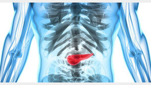 조기 진단 어려운 ‘고약한’ 암… 췌장암 의심되는 증상은