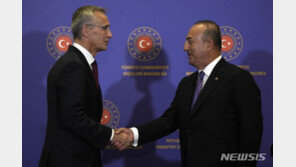 나토 사무총장 “이란, 러에 드론·탄도미사일 제공 용납 못해”