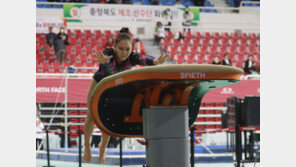 기계체조 여서정, FIG 세계선수권 도마 결선 7위