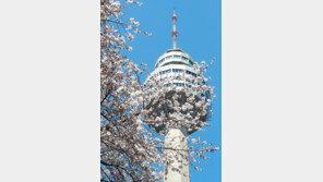 대구 초고층 83타워서 승강기 멈춰…20여명 20분간 갇혀