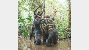 천연 탄소 저장고 ‘이탄지’… 무분별한 자원개발-지구온난화로 몸살 
