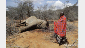 이집트 기후총회 개막…최대 쟁점은 개도국 온실가스 보상 요구